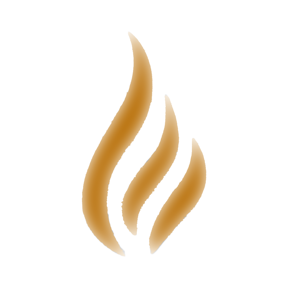 Ciups Flame Icon